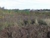 Строительство на окраине ст. Саратовской
